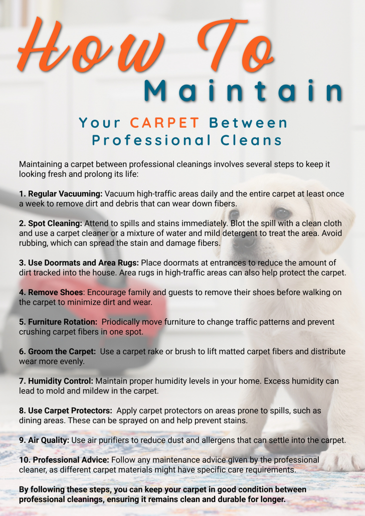 How to maintain carpet after professional cleaning